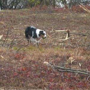 My Aussie Says Check out Dads Closet! LOL